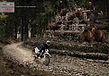 Натиснете снимката за да я уголемите

Име:yamahawr250x.jpg
Прегледи:1498
Размер:258.6 КБ
ID:5080278