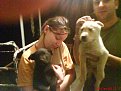 Натиснете снимката за да я уголемите

Име:DSC00026.jpg
Прегледи:562
Размер:144.3 КБ
ID:5080330