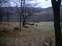 Натиснете снимката за да я уголемите

Име:IMG00021.jpg
Прегледи:139
Размер:178.1 КБ
ID:5080702