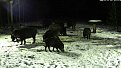 Натиснете снимката за да я уголемите

Име:bscap0021.jpg
Прегледи:179
Размер:112.1 КБ
ID:5080990