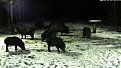Натиснете снимката за да я уголемите

Име:bscap0025.jpg
Прегледи:185
Размер:107.6 КБ
ID:5080991