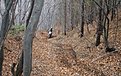 Натиснете снимката за да я уголемите

Име:PC200197.jpg
Прегледи:177
Размер:241.7 КБ
ID:5081115