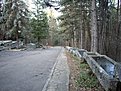 Натиснете снимката за да я уголемите

Име:Picture 005.jpg
Прегледи:113
Размер:242.4 КБ
ID:5081451