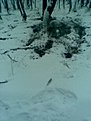 Натиснете снимката за да я уголемите

Име:Изображение007.jpg
Прегледи:174
Размер:64.7 КБ
ID:5081724
