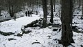 Натиснете снимката за да я уголемите

Име:IMG_4463.jpg
Прегледи:113
Размер:190.2 КБ
ID:5081819