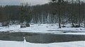 Натиснете снимката за да я уголемите

Име:IMG_4499.jpg
Прегледи:117
Размер:132.6 КБ
ID:5081825
