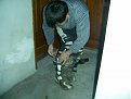 Натиснете снимката за да я уголемите

Име:PIC_0011.jpg
Прегледи:229
Размер:71.5 КБ
ID:5081991