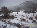 Натиснете снимката за да я уголемите

Име:100_0879.jpg
Прегледи:166
Размер:192.6 КБ
ID:5082292