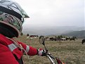 Натиснете снимката за да я уголемите

Име:IMG_0092.jpg
Прегледи:166
Размер:101.3 КБ
ID:5082574