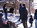 Натиснете снимката за да я уголемите

Име:Offroald 11.01.2009 049.jpg
Прегледи:108
Размер:183.1 КБ
ID:5082975