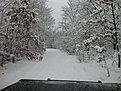 Натиснете снимката за да я уголемите

Име:IMG_0033.jpg
Прегледи:159
Размер:206.1 КБ
ID:5083203