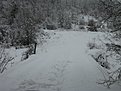 Натиснете снимката за да я уголемите

Име:IMG_0038.jpg
Прегледи:144
Размер:155.7 КБ
ID:5083207