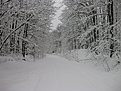 Натиснете снимката за да я уголемите

Име:IMG_0064.jpg
Прегледи:102
Размер:193.8 КБ
ID:5083227