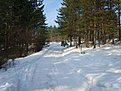 Натиснете снимката за да я уголемите

Име:S8301138.jpg
Прегледи:200
Размер:168.0 КБ
ID:5085008