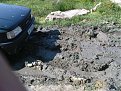 Натиснете снимката за да я уголемите

Име:DSC00560.jpg
Прегледи:303
Размер:231.5 КБ
ID:5085610