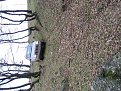 Натиснете снимката за да я уголемите

Име:IMG_0023.jpg
Прегледи:227
Размер:260.6 КБ
ID:5085970