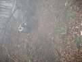 Натиснете снимката за да я уголемите

Име:IMG_0053.jpg
Прегледи:240
Размер:146.4 КБ
ID:5085998
