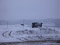 Натиснете снимката за да я уголемите

Име:Picture 015.jpg
Прегледи:97
Размер:95.5 КБ
ID:5086891