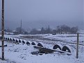 Натиснете снимката за да я уголемите

Име:Picture 019.jpg
Прегледи:93
Размер:97.7 КБ
ID:5086895