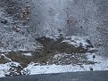 Натиснете снимката за да я уголемите

Име:Picture 042.jpg
Прегледи:92
Размер:176.9 КБ
ID:5086918
