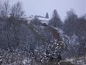 Натиснете снимката за да я уголемите

Име:Picture 047.jpg
Прегледи:95
Размер:153.1 КБ
ID:5086923