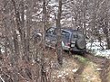 Натиснете снимката за да я уголемите

Име:SZ2 020.jpg
Прегледи:183
Размер:242.7 КБ
ID:5087208