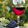 Натиснете снимката за да я уголемите

Име:vino060208.jpg
Прегледи:87
Размер:11.1 КБ
ID:5088266