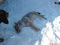 Натиснете снимката за да я уголемите

Име:DSC00512.jpg
Прегледи:311
Размер:85.9 КБ
ID:5088986
