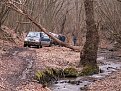 Натиснете снимката за да я уголемите

Име:PICT3.jpg
Прегледи:183
Размер:215.1 КБ
ID:5089723