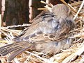 Натиснете снимката за да я уголемите

Име:DSCF2452.JPG
Прегледи:159
Размер:260.9 КБ
ID:5089945