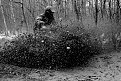 Натиснете снимката за да я уголемите

Име:DARC MUUN.jpg
Прегледи:664
Размер:243.5 КБ
ID:5090001