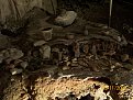 Натиснете снимката за да я уголемите

Име:Picture 050.jpg
Прегледи:98
Размер:157.5 КБ
ID:5090129