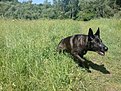 Натиснете снимката за да я уголемите

Име:DSC01050.jpg
Прегледи:353
Размер:301.7 КБ
ID:5090515