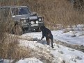 Натиснете снимката за да я уголемите

Име:P3010007.JPG
Прегледи:220
Размер:78.4 КБ
ID:5092755