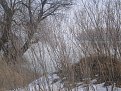 Натиснете снимката за да я уголемите

Име:P3010008.JPG
Прегледи:212
Размер:95.6 КБ
ID:5092756
