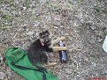 Натиснете снимката за да я уголемите

Име:DSC01387.jpg
Прегледи:247
Размер:193.8 КБ
ID:5093042