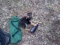 Натиснете снимката за да я уголемите

Име:пияндурник.jpg
Прегледи:244
Размер:164.6 КБ
ID:5093155
