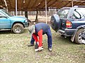 Натиснете снимката за да я уголемите

Име:S7301411.JPG
Прегледи:123
Размер:120.2 КБ
ID:5093300