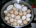 Натиснете снимката за да я уголемите

Име:eggs.jpg
Прегледи:143
Размер:428.9 КБ
ID:5093570