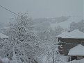 Натиснете снимката за да я уголемите

Име:Pic 005.jpg
Прегледи:510
Размер:124.2 КБ
ID:5094176