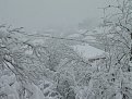 Натиснете снимката за да я уголемите

Име:Pic 009.jpg
Прегледи:501
Размер:125.1 КБ
ID:5094177