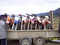 Натиснете снимката за да я уголемите

Име:100_3817.jpg
Прегледи:279
Размер:146.4 КБ
ID:5095307