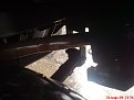 Натиснете снимката за да я уголемите

Име:DSC00708.jpg
Прегледи:1029
Размер:75.7 КБ
ID:5096423