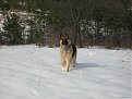 Натиснете снимката за да я уголемите

Име:IMG_1384.JPG
Прегледи:313
Размер:102.2 КБ
ID:5096590