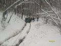 Натиснете снимката за да я уголемите

Име:S6300028.jpg
Прегледи:652
Размер:172.0 КБ
ID:5097221