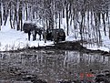 Натиснете снимката за да я уголемите

Име:DSC01563.JPG
Прегледи:488
Размер:140.3 КБ
ID:5097402