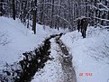 Натиснете снимката за да я уголемите

Име:DSC01578.JPG
Прегледи:473
Размер:111.2 КБ
ID:5097409