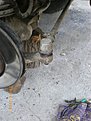 Натиснете снимката за да я уголемите

Име:IMGP1463.jpg
Прегледи:141
Размер:86.5 КБ
ID:5098092
