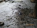 Натиснете снимката за да я уголемите

Име:IMGP1472.jpg
Прегледи:145
Размер:234.2 КБ
ID:5098095