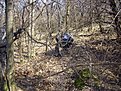 Натиснете снимката за да я уголемите

Име:DSCI4319.jpg
Прегледи:124
Размер:350.6 КБ
ID:5098148
